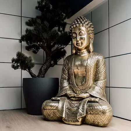 Rooftop Buddha Lounge - Im Dachgeschoss In Mit Waschmaschine Und Netflix Apartment